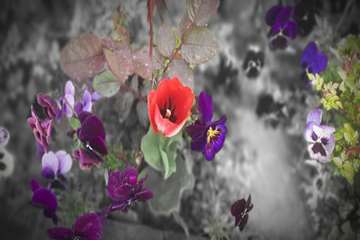 بهار دانشگاه 1399